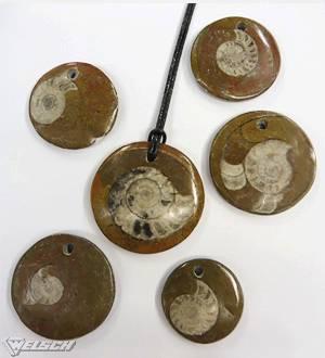 Pendentif Fossil Ammonite en matrice ronde / percé